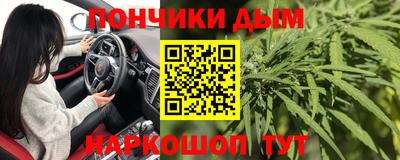 гидропоника Заводоуковск
