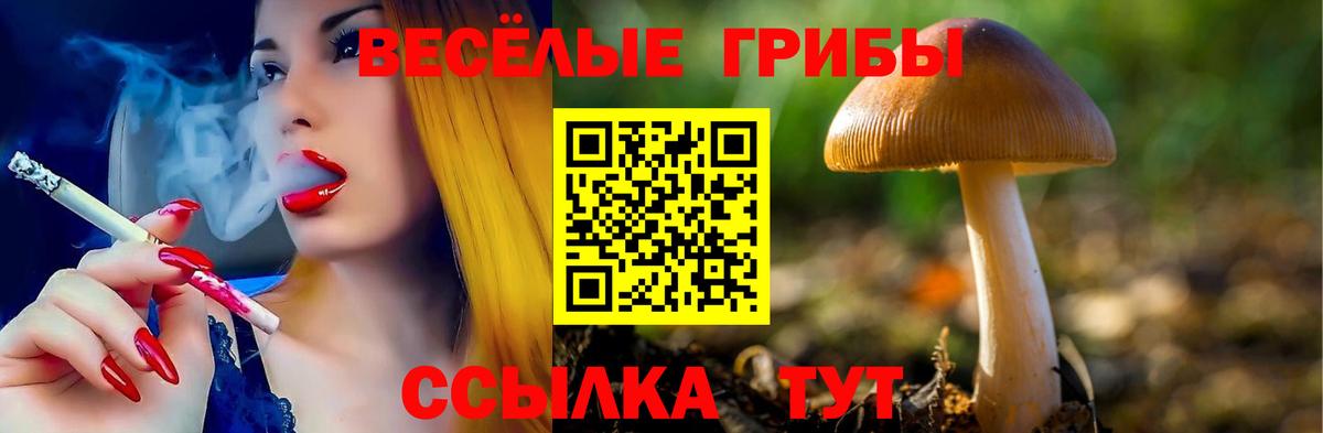 Ликино-Дулёво  Галлюциногенные грибы ЛСД  Псилоцибиновые грибы Cubensis  Вход с VPN 